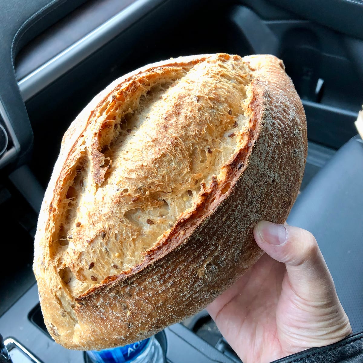 A scored, seeded sourdough loaf held in one hand